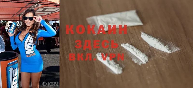 COCAIN Fish Scale  Талдом 